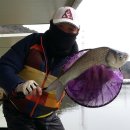 행암낚시터 이미지