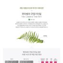 비사쥬 네이버블로그