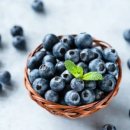 블루베리짐 이미지