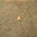 중계어린이집 이미지