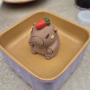 트윙클문 | 🇨🇳나 홀로 상하이_Day 3(트윙클 팝업, 헌지우이치엔, 하이디라오)