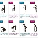 바른자세요가원 - 수원시 권선구 금호로 240-1 | 바른자세요가원