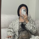 원투쓰리 퍼 라인댄스 | 고양이집사 커플잠옷 추천💛 고양이털 안 붙는 댄스온더플로어 퍼리스파자마 레오파드 잠옷 후기