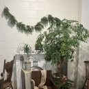 행운칼국수 이미지