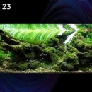 갤러리 스테이 이미지