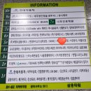 페이버에스테틱