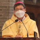 베드로목장2 이미지