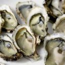 바이러스 이미지