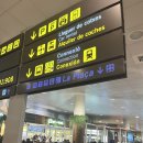 에스트래블 | 바르셀로나 공항 근처 숙소 ‘센터 에스플라이 알베르게‘ (후기, 이동 방법⭕️, 트래블월렛 교통카드❌)