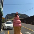 캘리소프트서브성산일출봉점 | 제주 성산 | 아이스크림 ‘캘리소프트서브 성산일출봉점’