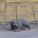 서민밥상 | 어촌밥상 기장 일광 생선구이 맛집 n번째 방문후기