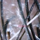 정원미용실 이미지