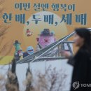 배*두