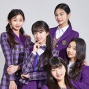 버스터즈 카카오 검색결과