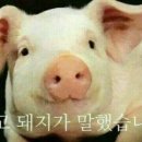 (주)송운사 이미지