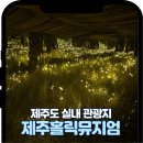 상상홀릭 | 제주실내관광지 추천 애월여행 필수코스 제주홀릭뮤지엄 전시관 후기