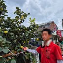 진례전통시장 이미지