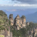 블루마운틴 이미지