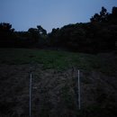 금영농장 이미지