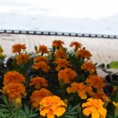 송강전통시장 이미지