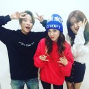 엠버 이미지