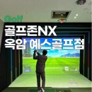 예스스크린골프존 이미지