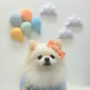 올리스 일산백석점 이미지