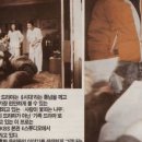 사랑이꽃피는나무 이미지