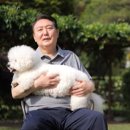 동물농장 이미지