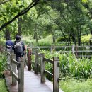 반딧불이의 기억 이미지