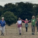 노르딕워킹 이미지