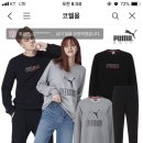 푸마 맨투맨&조거팬츠 19,900원 이미지