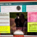 웰리힐리파크 관광단지 이미지