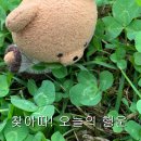 사미
