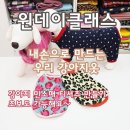 디어뚜뚜 이미지