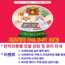 지오디독 이미지