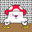 부록셀프사진관셀프스튜디오 이미지