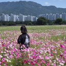 황산공원 이미지