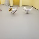오로지몽