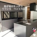 [루리토리 한일커플] 신혼집 마이홈 기록 부엌편: 도쿄 47평 주문주택 ㅣLIXIL 릭실 리쉐르 프리미엄 키친