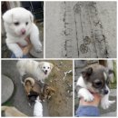 종명농장 이미지