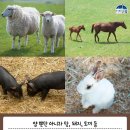 고흥목장 네이버블로그