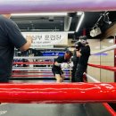 용인대SM복싱클럽 본관 이미지