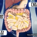 위드줌바 이미지
