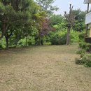 주택 담장 앞 이미지