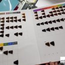 퀸헤어클리닉 이미지