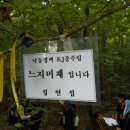 미재 이미지