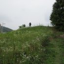 처인성로875번길 이미지