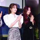 찬미 이미지
