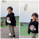 유하목장 이미지